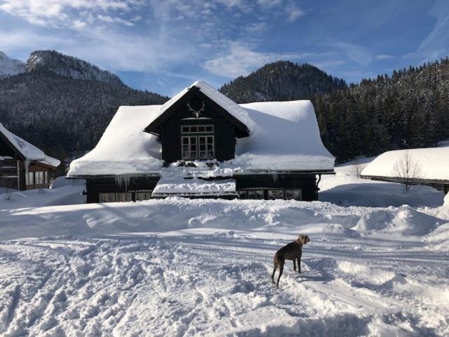 Die Alte Blaa Altaussee Luaran gambar