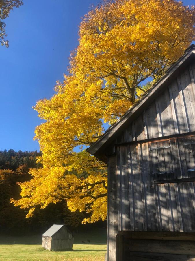 Die Alte Blaa Altaussee Luaran gambar