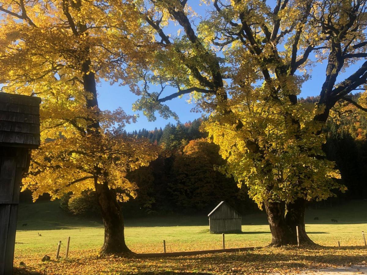 Die Alte Blaa Altaussee Luaran gambar