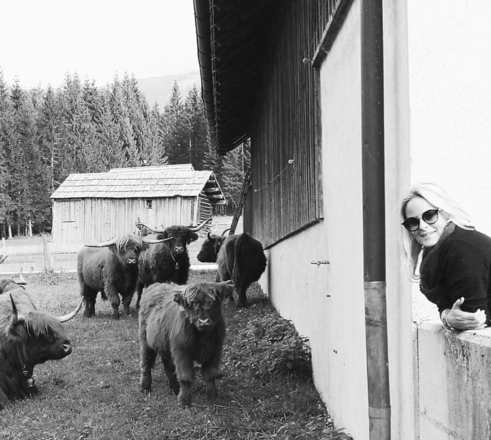 Die Alte Blaa Altaussee Luaran gambar